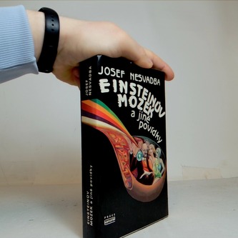 Einsteinův mozek