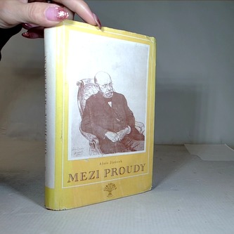 Mezi proudy I.