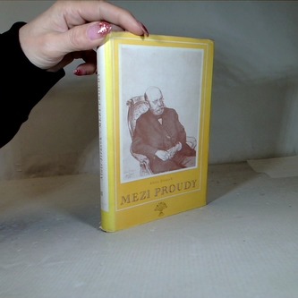 Mezi proudy II.