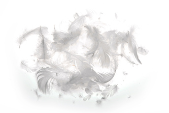 Dekorační pírka BÍLÁ