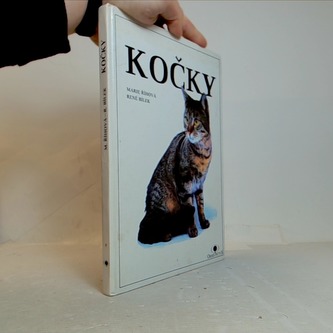 Kočky