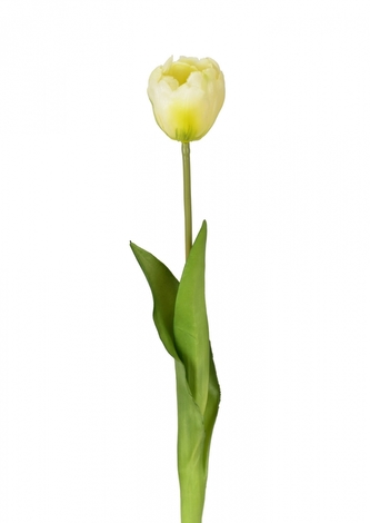 Tulipán bílý 43 cm