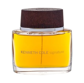 Kenneth Cole Signature Toaletní voda 100 ml pro muže