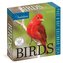 Audubon Birds Page-A-Day Calendar 2024