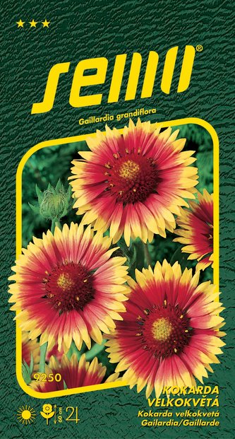 Kokarda spanilá - žlutohnědá 0,2g