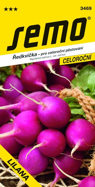 Ředkvička fialová - Lilana rychl, pole celoroční 5g
