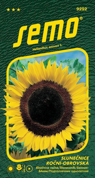 Slunečnice roční - obrovská 2g