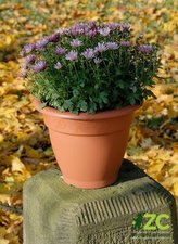 Obal Muškát - terakota 18 cm