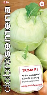 Dobrá semena Kedluben bílý - Troja F1 pozdní 40s