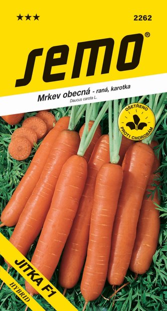 Mrkev Karotka - Jitka F1 raná 1,3g