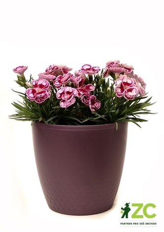 Obal Perla - vínová 11 cm