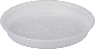 Miska Green Basics Orchid - transparent 10 cm