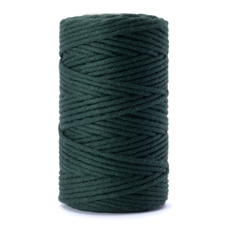 Provázek potravinářský bavlna 100g/66m zelený  COMBI