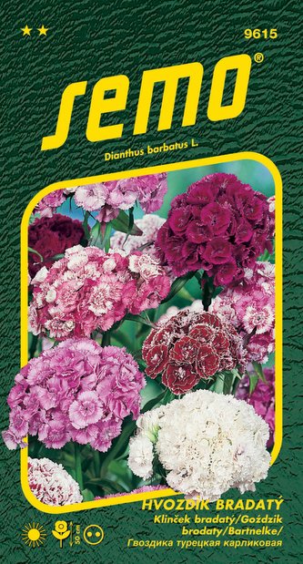 Hvozdík bradatý - směs 0,5g