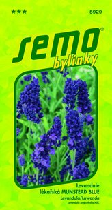 Levandule lékařská - Munstead blue 0,4g