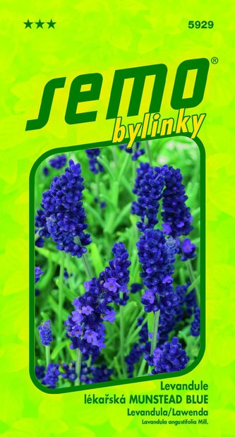 Levandule lékařská - Munstead blue 0,4g