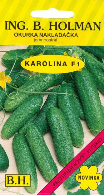 Okurka nakl. Holman - Karolína hu F1 2 g