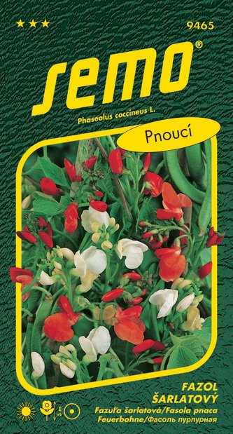 Fazol šarlatový - pnoucí červenobílý 9s