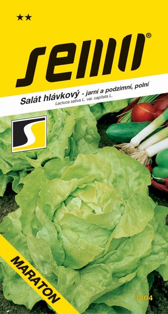 Salát jarní - Maraton polní (podzimní) 0,6g