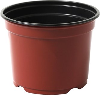 Kontejner Desch 10 cm - terakota 10 ks