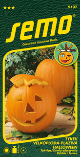 Tykev okrasná - Halloween 2g - série K DEKORACI