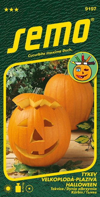 Tykev okrasná - Halloween 2g - série K DEKORACI