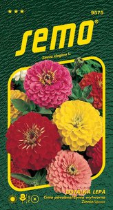 Ostálka lepá - Geant de California (směs) 0,7g