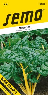 Mangold - Bright Yellow F1 zelený 3g