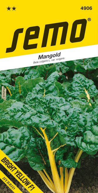 Mangold - Bright Yellow F1 zelený 3g