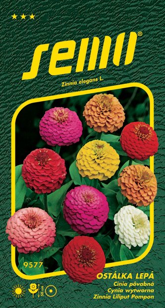 Ostálka lepá - Double liliput (pomponkovitá) 0,7g