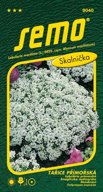 Tařice přímořská - Corbelle d´argent bílá 0,6g (ZÁRUKA 2024)
