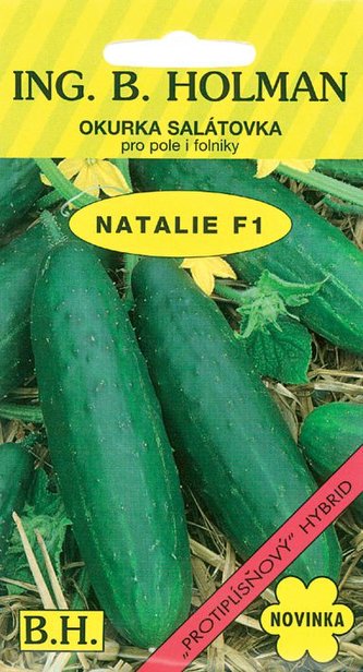 Okurka salát. Holman - Natalie F1 1,5 g