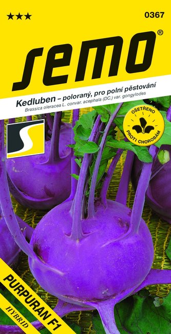 Kedluben modrý - Purpuran F1 poloraný, pro pole 50s