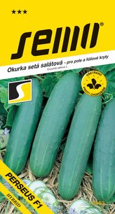Okurka salát. - Perseus F1 fol,pole 1,3g