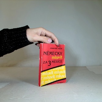 Německy mluvit za 3 měsíce