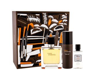 Hermes Terre D´Hermes parfém 75 ml + voda po holení 40 ml + pěna na holení 50 ml