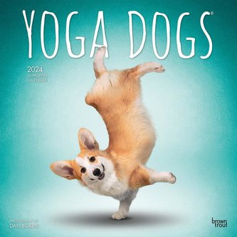Yoga Dogs 2024 Square