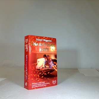 Léto na vrbovém jezeře