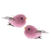 Ptáčci s klipem - sada 2ks, 12/360