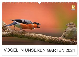 Vögel in unseren Gärten 2024 (Wandkalender 2024 DIN A3 quer), CALVENDO Monatskalender