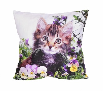 Fotonávlek, Kočička a macešky, 40 x 40 cm