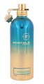 Montale Paris Aoud Lagoon Parfémovaná voda 100 ml unisex