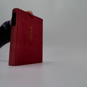 Bludičky v Podlesí