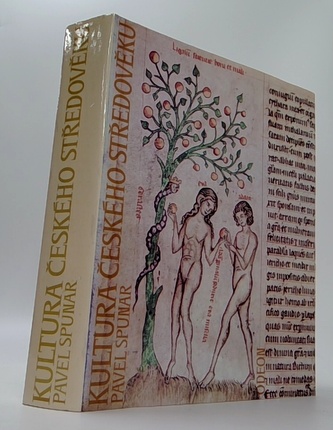 Kultura českého středověku