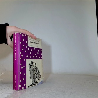 Modche a rezi a jiné příběhy