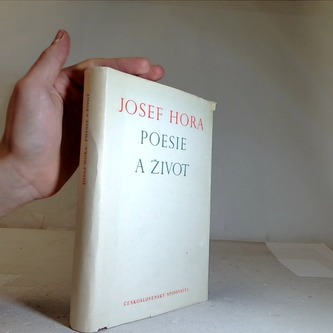 Poesie a život