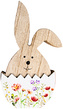 Velikonoční zajíček HOPSAJDA II. dřevěný 16x8 cm