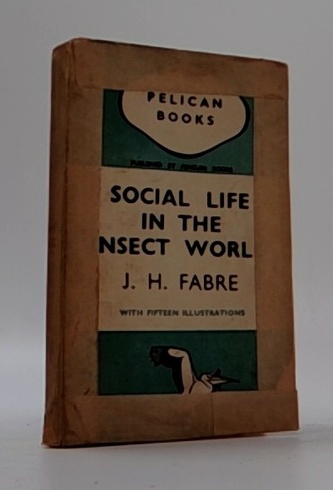 Social Life in the Insect World