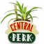 Dekorační váza - květináč Friends|Přátelé: Central Perk (11 x 8 x 7 cm)