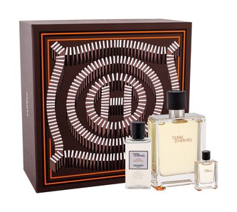 Hermes Terre D´Hermes toaletní voda 100 ml + toaletní voda 5 ml + voda po holení 40 ml
